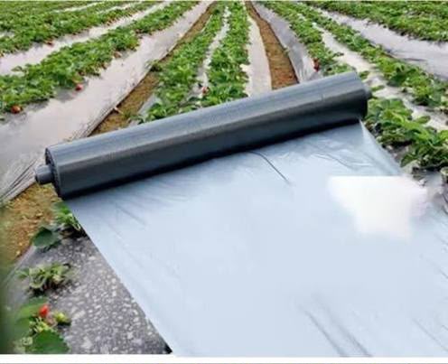 Crop Covers and Metal Wire